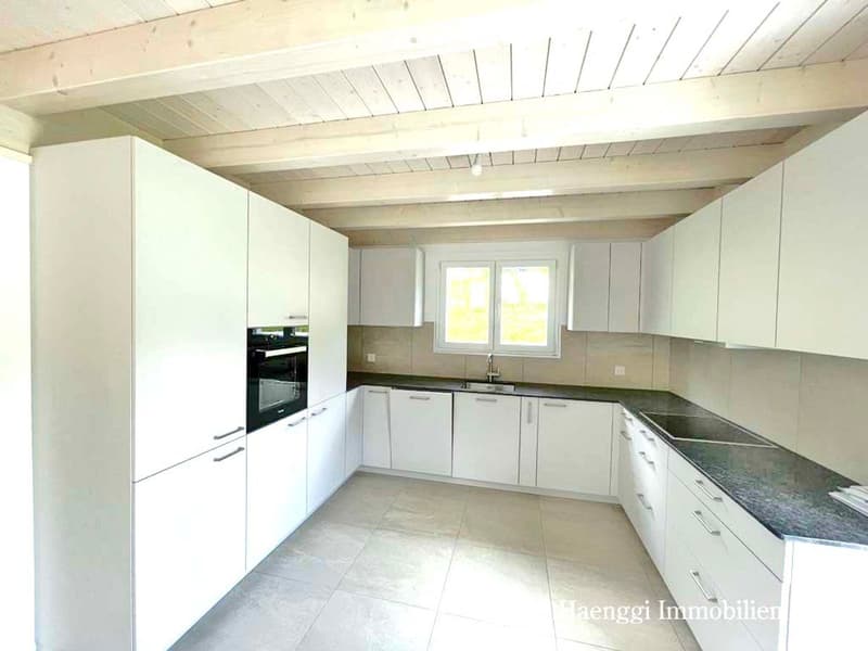 Neue, grosszügige 5 bis 7.5-Zi-EFH mit weiter Aussicht in Läufelfingen (10)