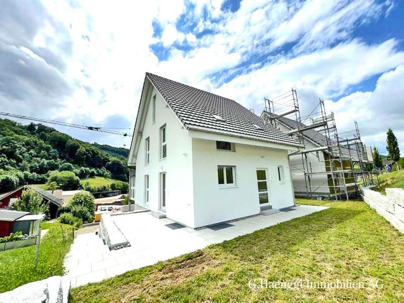 Neue, grosszügige 5 bis 7.5-Zi-EFH mit weiter Aussicht in Läufelfingen (4)