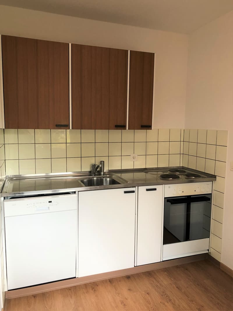 Gemütliche 2-Zimmer-Wohnung mit Balkon in Zürich-Altstetten (10)