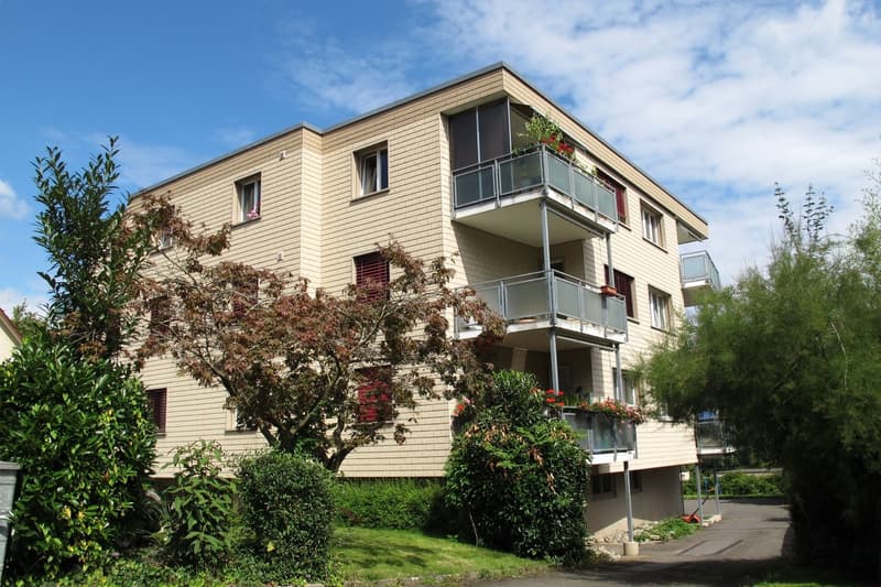 Oasi di pace di 2 camere con vista sulla Limmat e posizione centrale (1)