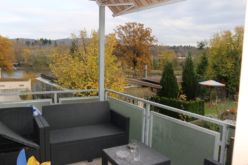 Oasi di pace di 2 camere con vista sulla Limmat e posizione centrale (3)