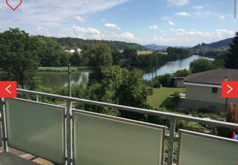 Oasi di pace di 2 camere con vista sulla Limmat e posizione centrale (4)