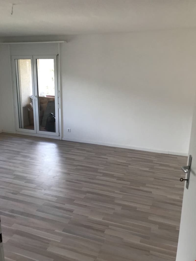 Charmantes 1,5-Zimmer-Wohnung in Delémont (3)