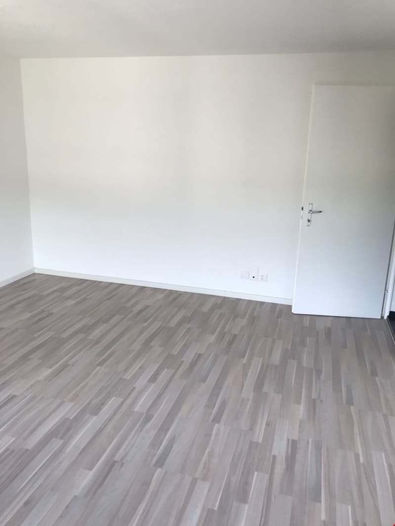 Charmantes 1,5-Zimmer-Wohnung in Delémont (4)
