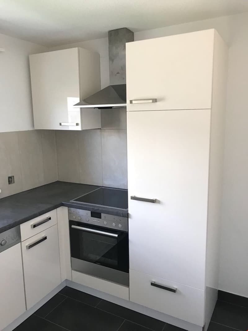 Charmantes 1,5-Zimmer-Wohnung in Delémont (2)