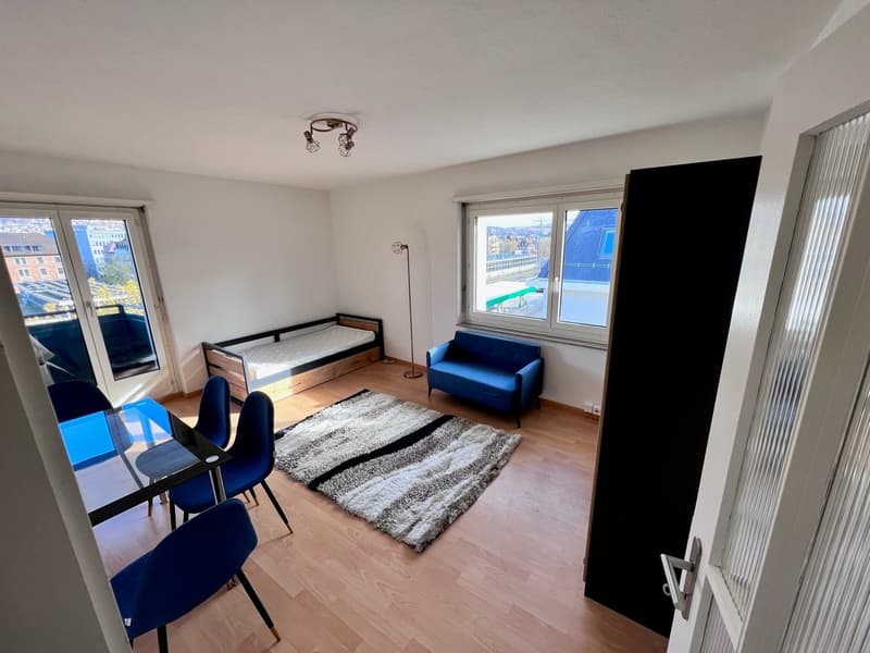 1 Zimmer-Wohnung in Zürich mieten (1)