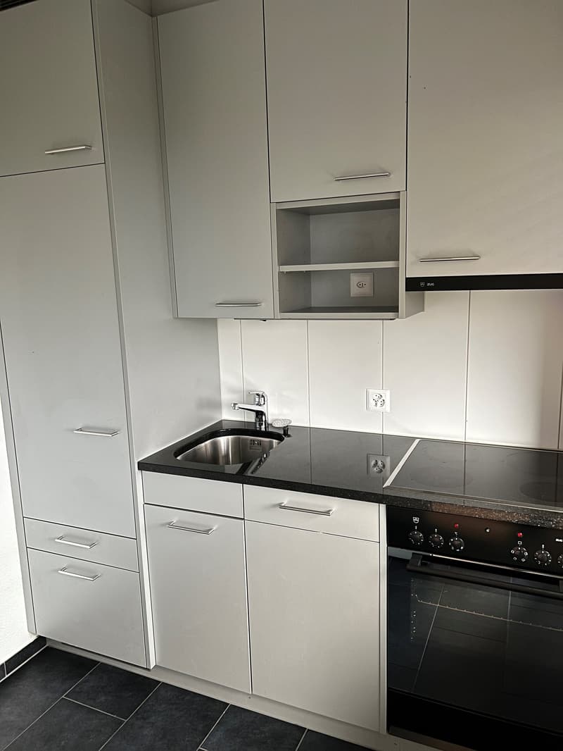 1 Zimmer-Wohnung in Zürich mieten (5)