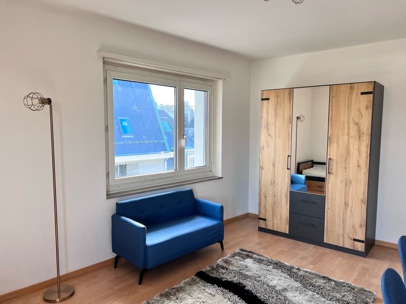 1 Zimmer-Wohnung in Zürich mieten (3)