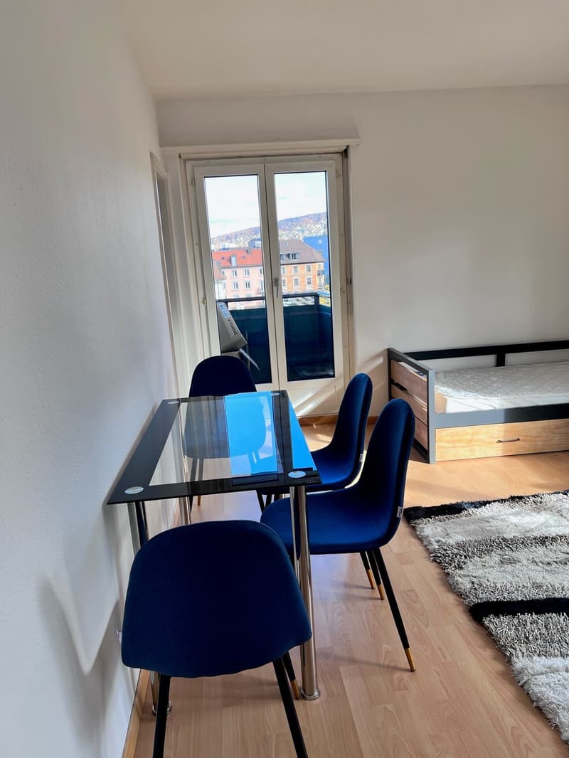 1 Zimmer-Wohnung in Zürich mieten (4)