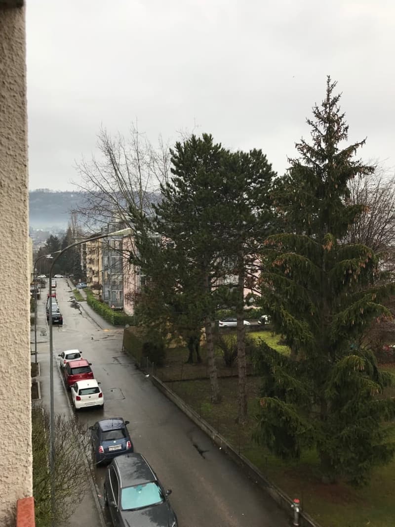C'est beau et pratique! 1.5 p. 2ième à louer rue du Jura 3 Delémont (1)
