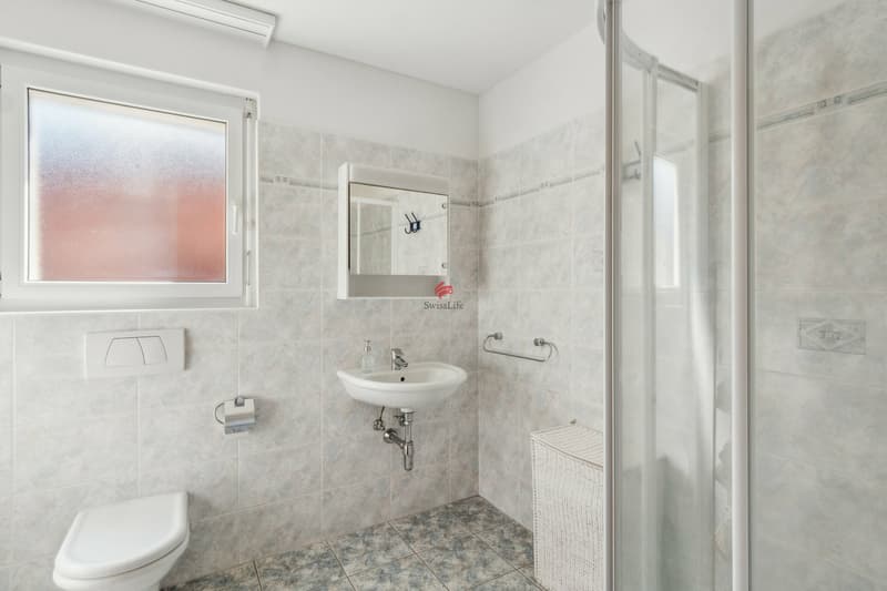 10 minutes from Bellinzona, your dream home! (5)