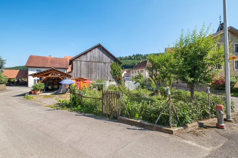 Gemüsegarten auf der anderen Strassenseite / Potager de l'autre côté de la rue