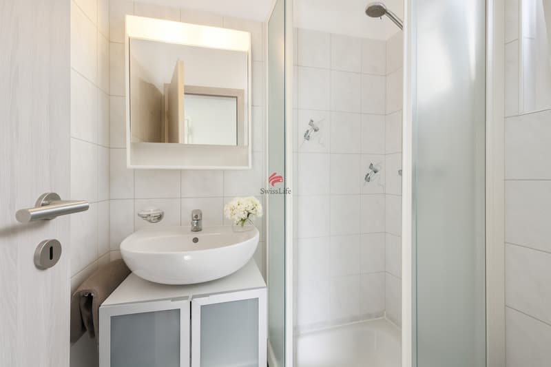 Your dream home is in Cugnasco! (9)