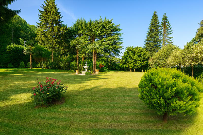 / Un prato pianeggiante ricco di alberi con possibilità di realizzare una piscina