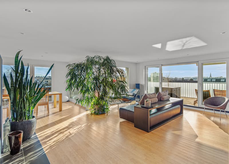 Attic apartment with great panoramic and mountain views (1)