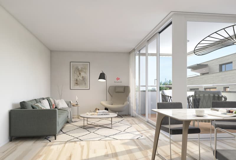 Construction neuve avec style et confort (3)