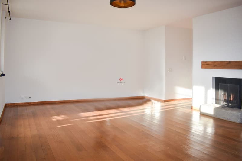 Plaisir de vivre de classe exceptionnelle avec vue panoramique (7)