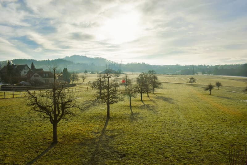 Plaisir de vivre de classe exceptionnelle avec vue panoramique (3)