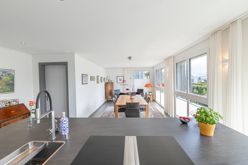 Modern living with panorama (6)