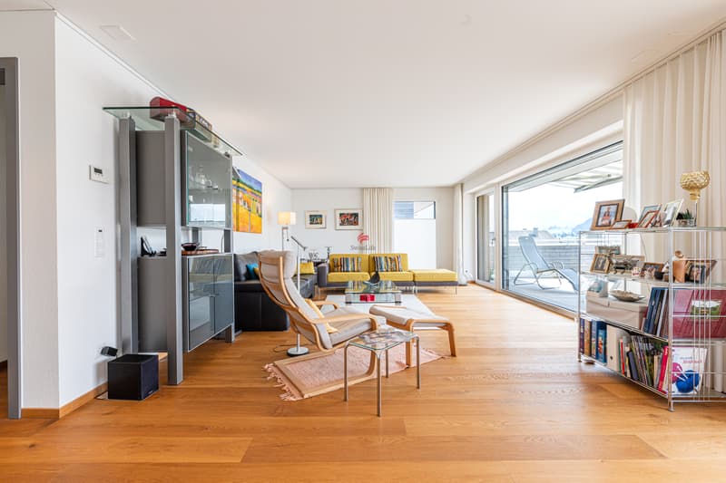 Modern living with panorama (2)