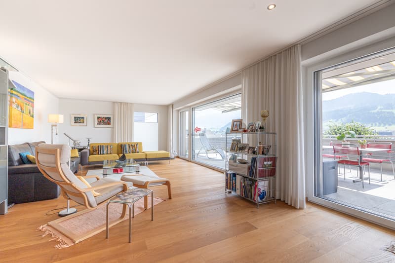 Modern living with panorama (8)