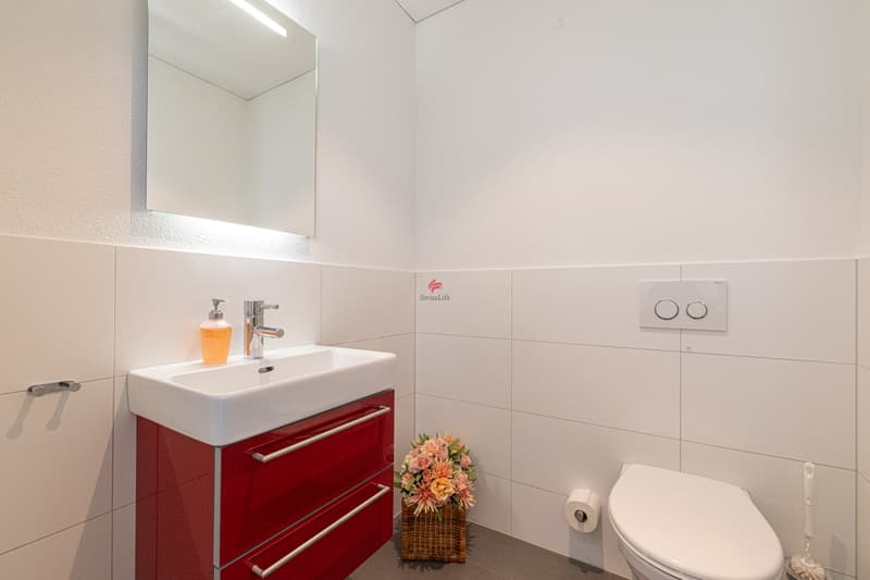 Modern living with panorama (12)