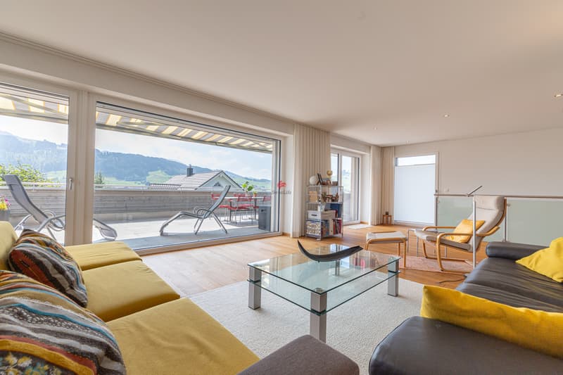 Modern living with panorama (1)