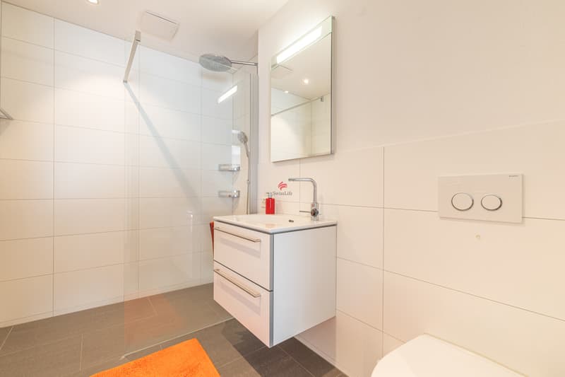 Modern living with panorama (13)