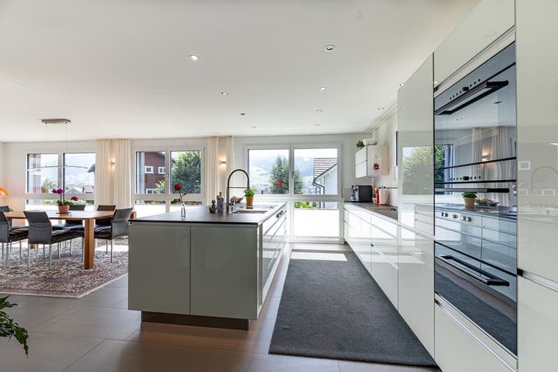 Modern living with panorama (3)