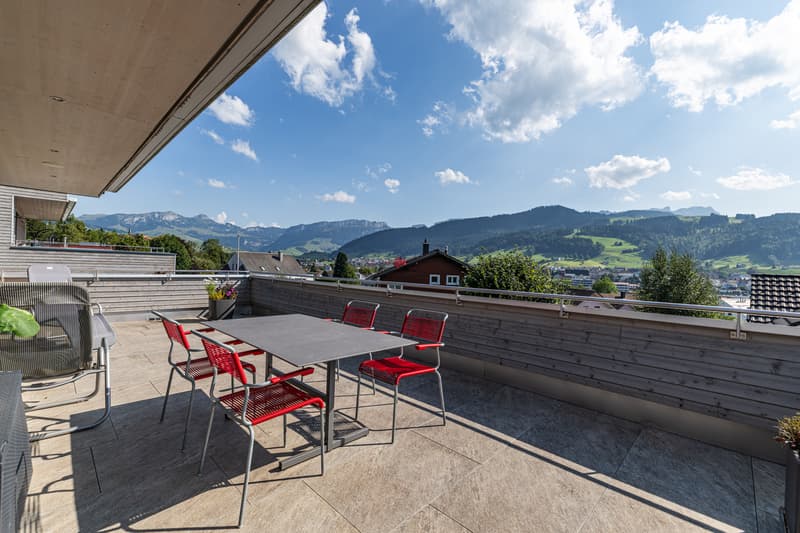 Modern living with panorama (5)