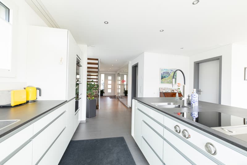 Modern living with panorama (7)