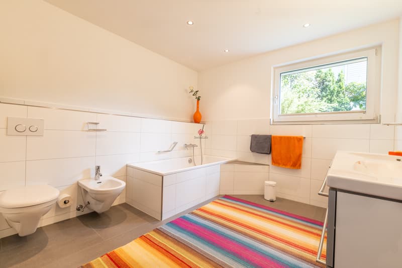 Modern living with panorama (11)