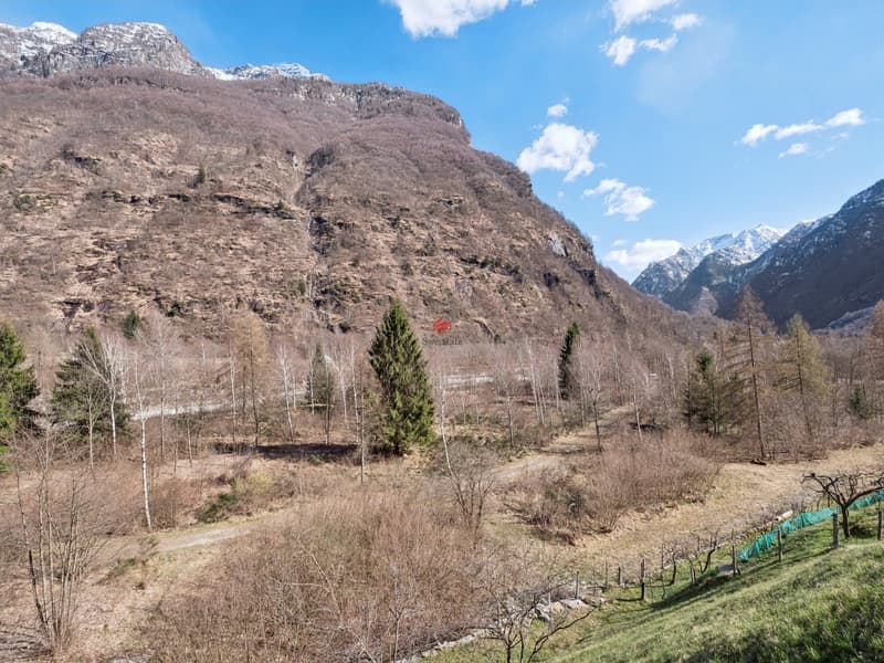Lusso e tranquillità assoluta! (11)