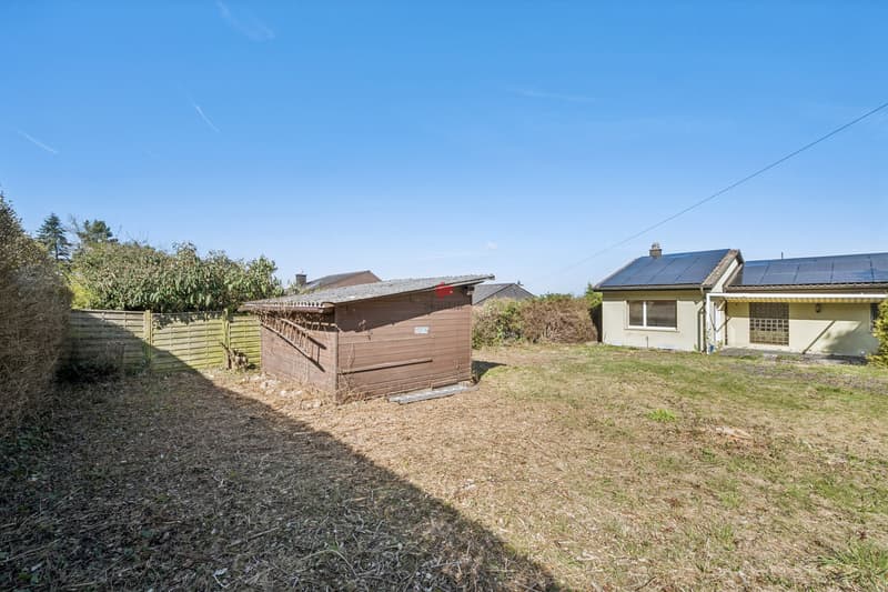 Sunny plot with great potential (8)