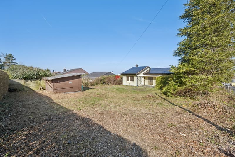 Sunny plot with great potential (7)