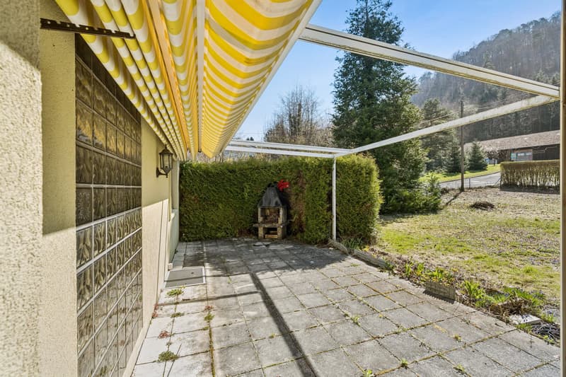 Sunny plot with great potential (4)