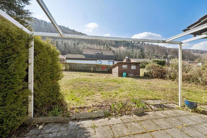 Sunny plot with great potential (3)