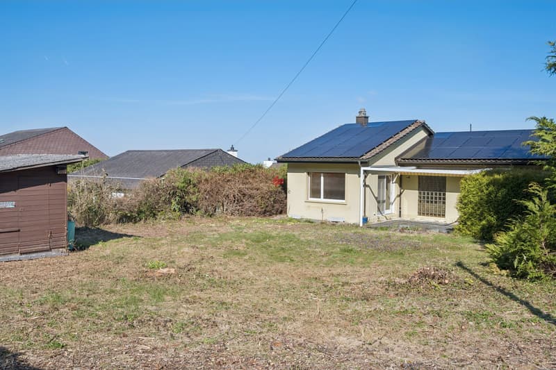 Sunny plot with great potential (9)
