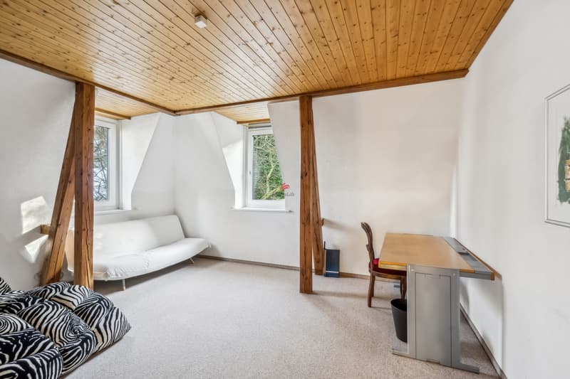Unique Maisonette in a magnificent Art Nouveau villa (8)