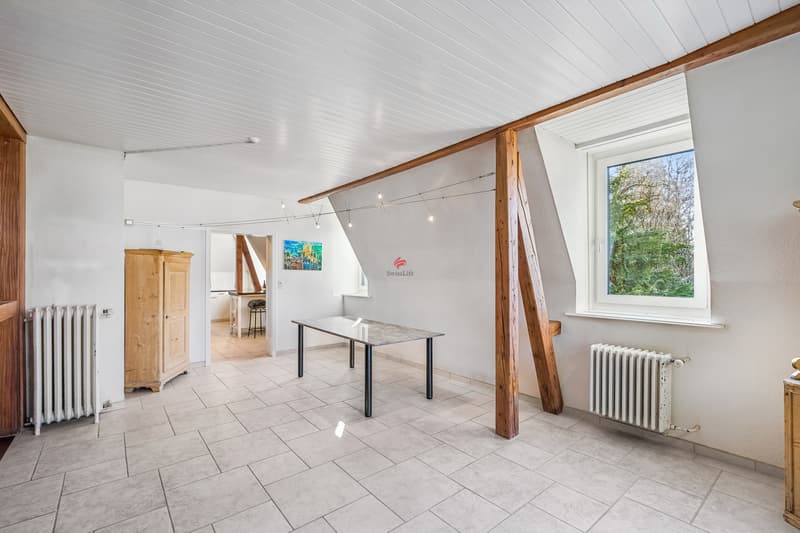Unique Maisonette in a magnificent Art Nouveau villa (7)