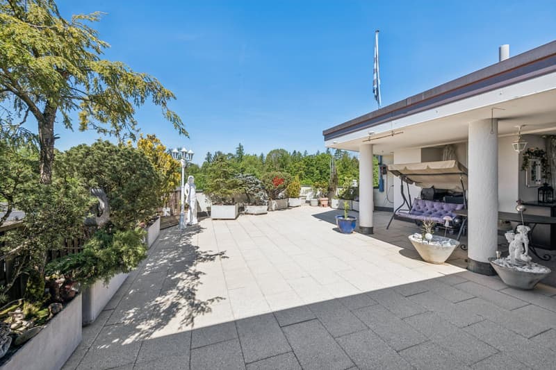 Attic apartment with large roof terrace and panoramic view in quiet location of Lenzburg (11)