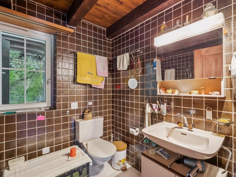 Urlaub im Grünen: absolute Privatsphäre und Raum, um die Serenität wiederzufinden (5)