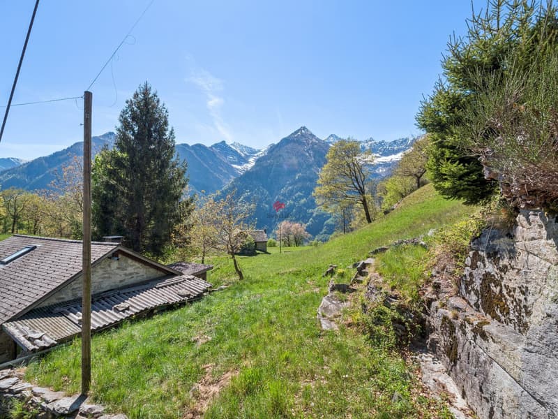 Urlaub im Grünen: absolute Privatsphäre und Raum, um die Serenität wiederzufinden (10)