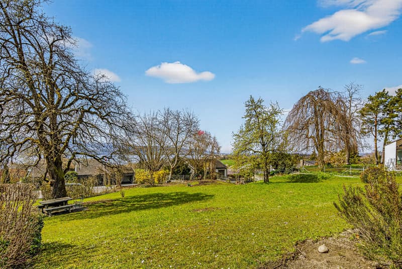 Dream location on Wildsberg with potential (6)