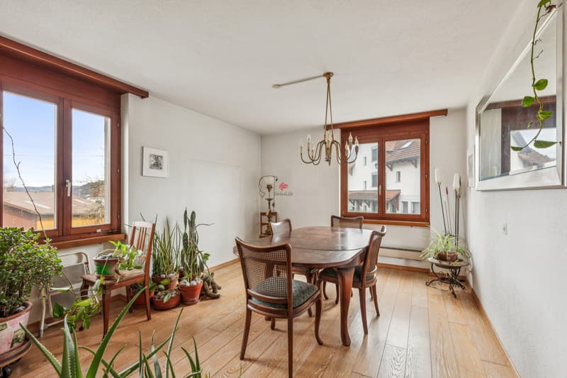 Single-family house with 3 residential units (4)