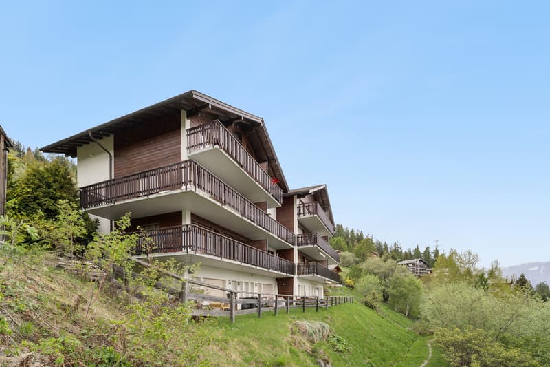 Apartment 2.5 rooms with beautiful views (8)