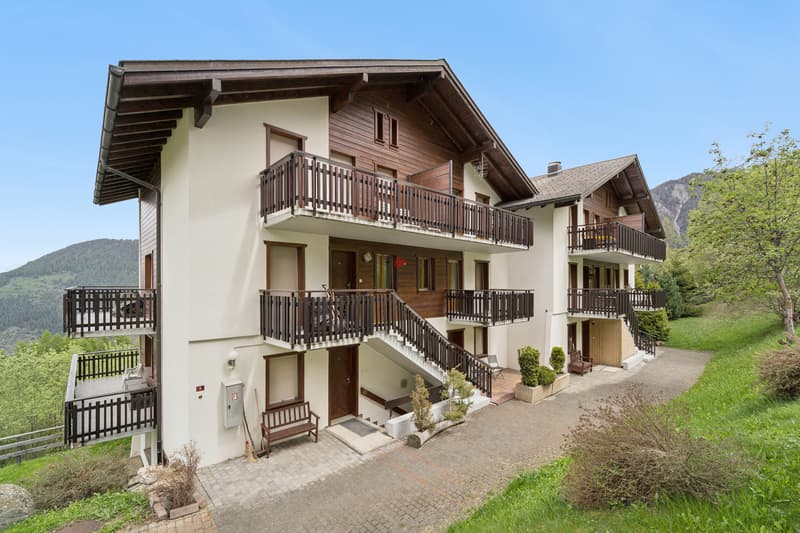 Apartment 2.5 rooms with beautiful views (1)