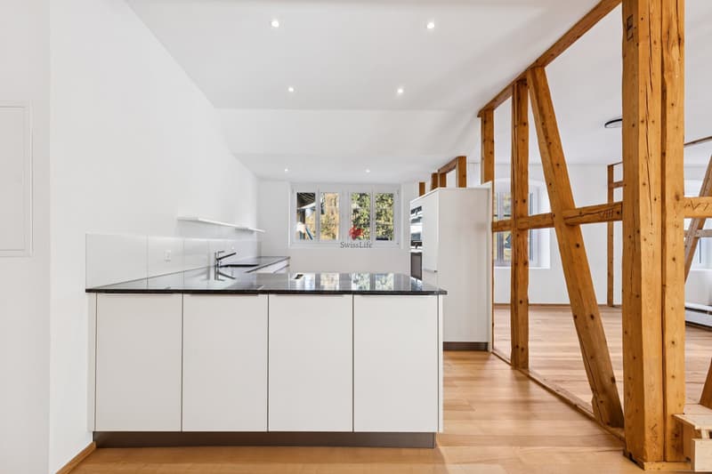Loft apartment with industrial charm (5)