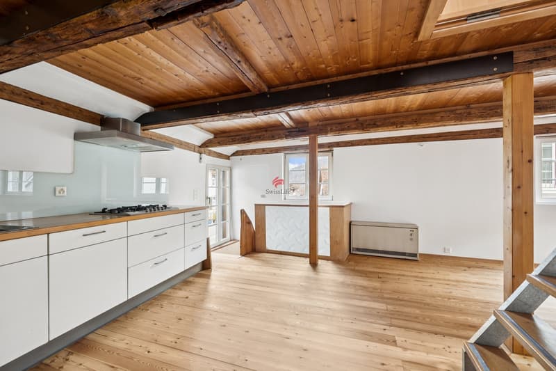 Historic house with modern living comfort (7)