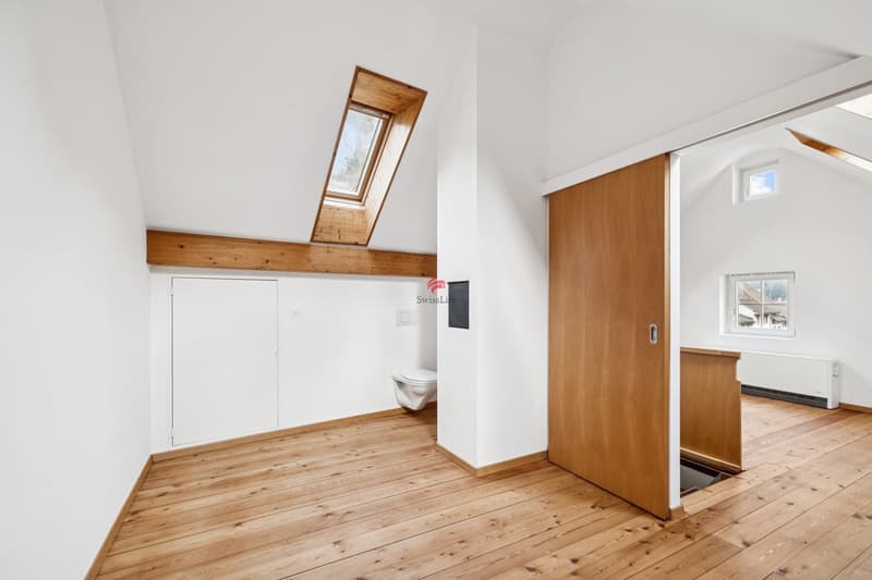 Historic house with modern living comfort (9)